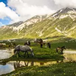 Vinci una vacanza per la famiglia nel Parco Nazionale d'Abruzzo grazie a Beltè