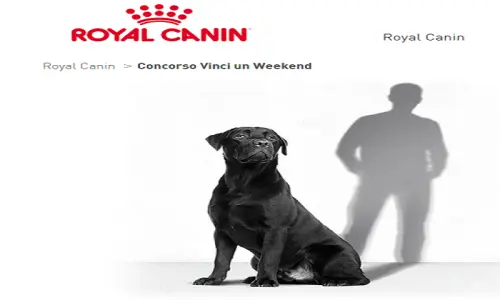 Concorso Royal Canin vinci 10 viaggi a Montpellier al campus...