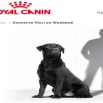 Concorso Royal Canin vinci 10 viaggi a Montpellier al campus...