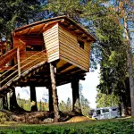 Loacker, concorso per vincere una notte sull'albero