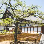 Tirocini in Giappone: programma Vulcanus 2016/2017