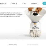 Voli per New York con tutta la famiglia e pernottamento gratis!